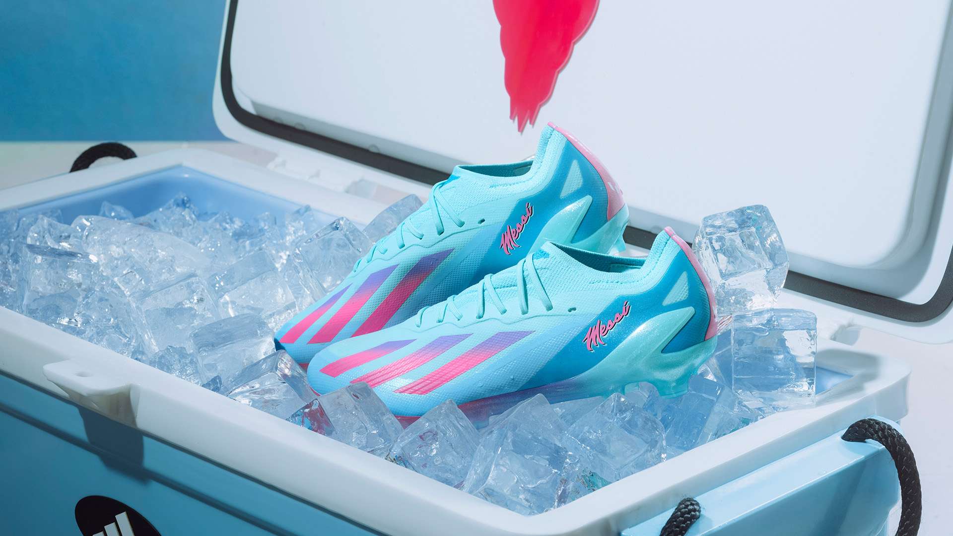 球亚洲杯赛 球亚洲杯赛